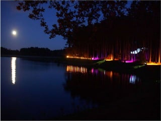 Festivals Portfolio




                © Culver-Dodds Cultural Consultancy
 