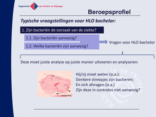 Opbouwende leerlijn van propedeuse tot masterWerkgevers HLO bachelorsAfgestudeerden werken als biologisch, medisch of chemisch analist op een laboratorium in ziekenhuizen, universiteiten, biotechnologische of pharmaceutische bedrijven