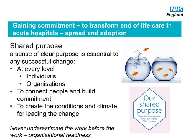 Transforming End of Life Care in Acute Hospitals PM Workshop 5: How to ...
