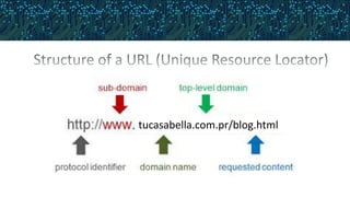 tucasabella.com.pr/blog.html
 