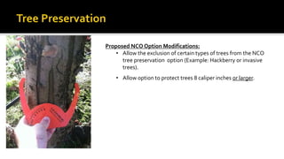 Hackberry Invasive Neighborhood Conservation Overlay | PPTX