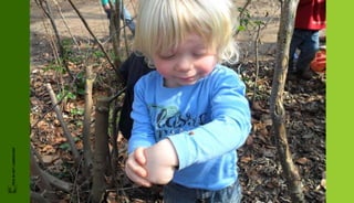 FRIS IN HET LANDSCHAP
 