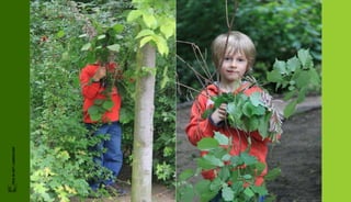 FRIS IN HET LANDSCHAP
 