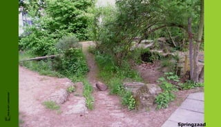 FRIS IN HET LANDSCHAP




Springzaad
 