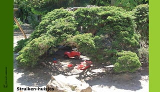 FRIS IN HET LANDSCHAP




Struiken-huisjes
 