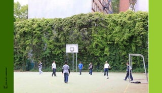 FRIS IN HET LANDSCHAP
 