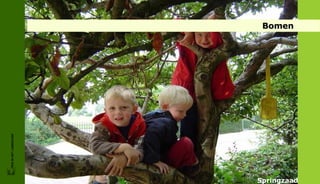 FRIS IN HET LANDSCHAP




                                     Bomen




Springzaad
 