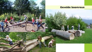 FRIS IN HET LANDSCHAP




                        Gevelde boomreus
 