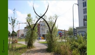 FRIS IN HET LANDSCHAP
 