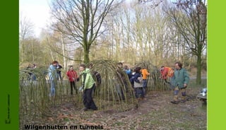 FRIS IN HET LANDSCHAP




                        Wilgenhutten en tunnels
 