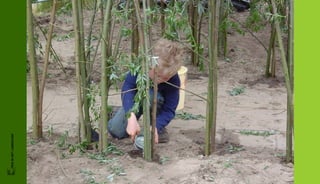 FRIS IN HET LANDSCHAP
 