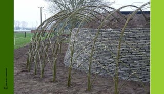 FRIS IN HET LANDSCHAP
 