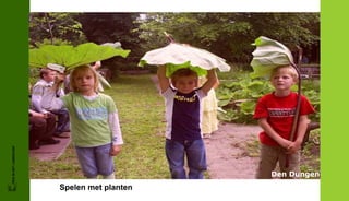 FRIS IN HET LANDSCHAP




                                             Den Dungen
                        Spelen met planten
 
