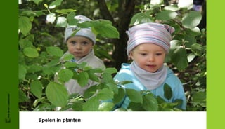 FRIS IN HET LANDSCHAP




Spelen in planten
 