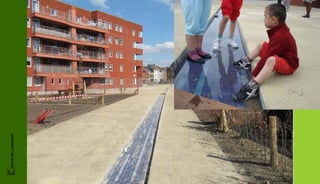 FRIS IN HET LANDSCHAP
 