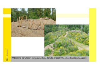 FRISFRIS IN HET LANDSCHAP
     IN HET LANDSCHAP




                            Afdekking zandleem mineraal, steile taluds, inzaai inheemse kruidenmengsels
 