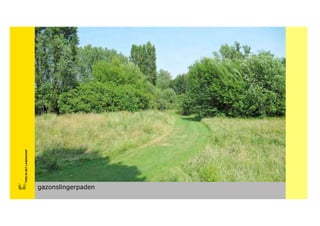 FRISFRIS IN HET LANDSCHAP
           IN HET LANDSCHAP
             FRIS IN HET LANDSCHAP




          gazonslingerpaden
Lovergangen licht en schaduw
 