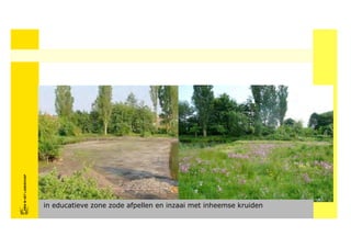 FRISFRIS IN HET LANDSCHAP
     IN HET LANDSCHAP




                            in educatieve zone zode afpellen en inzaai met inheemse kruiden
 