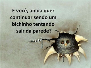 E você, ainda quer continuar sendo um bichinho tentando  sair da parede? 