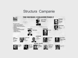 Structura Campanie
 