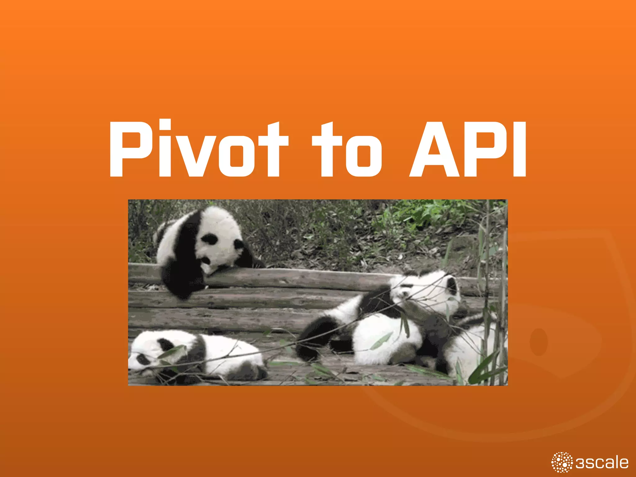 Pivot to API
 