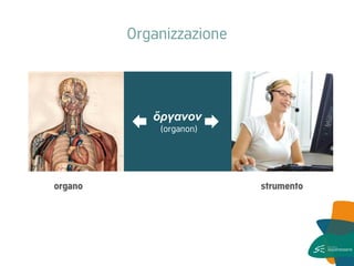 Organizzazione 
ὅργανον 
(organon) 
strumento 
organo  