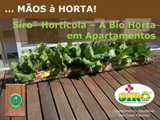 Brochura de Apresentação da Empresa … MÃOS à HORTA! Siro® Hortícola – A Bio Horta em Apartamentos Crescimento Saudável  das Suas Plantas! 