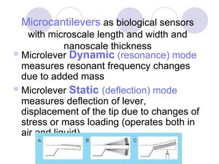 Microcantilevers  as biological sensors with microscale length and width and nanoscale thickness Microlever  Dynamic  (resonance) mode  measures resonant frequency changes due to added mass  Microlever  Static  (deflection) mode  measures deflection of lever, displacement of the tip due to changes of stress or mass loading (operates both in air and liquid) 