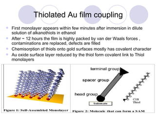 Thiolated Au film coupling First monolayer appears within few minutes after immersion in dilute solution of alkanothiols in ethanol After ~ 12 hours the film is highly packed by van der Waals forces , contaminations are replaced, defects are filled Chemisorption of thiols onto gold surfaces mostly has covalent character  Au oxide surface layer reduced by the thiol form covalent link to Thiol monolayers 