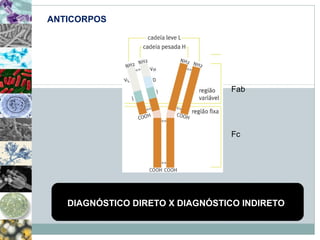 ANTICORPOS 
Fab 
Fc 
DIAGNÓSTICO DIRETO X DIAGNÓSTICO INDIRETO 
 