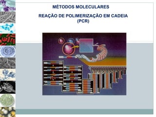 MÉTODOS MOLECULARES 
REAÇÃO DE POLIMERIZAÇÃO EM CADEIA 
(PCR) 
 
