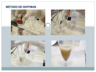 MÉTODO DE HOFFMAN 
 
