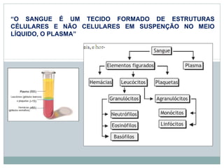 “O SANGUE É UM TECIDO FORMADO DE ESTRUTURAS 
CÉLULARES E NÃO CELULARES EM SUSPENÇÃO NO MEIO 
LÍQUIDO, O PLASMA” 
 