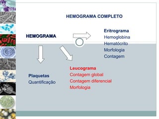 HEMOGRAMA COMPLETO 
Leucograma 
Contagem global 
Contagem diferencial 
Morfologia 
HHEEMMOOGGRRAAMMAA 
Plaquetas 
Quantificação 
Eritrograma 
Hemoglobina 
Hematócrito 
Morfologia 
Contagem 
 