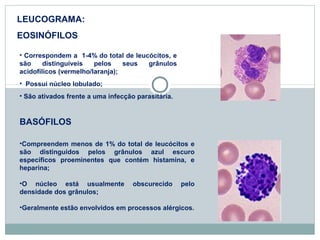 LEUCOGRAMA: 
EOSINÓFILOS 
• Correspondem a 1-4% do total de leucócitos, e 
são distinguíveis pelos seus grânulos 
acidofílicos (vermelho/laranja); 
• Possui núcleo lobulado; 
• São ativados frente a uma infecção parasitária. 
BASÓFILOS 
•Compreendem menos de 1% do total de leucócitos e 
são distinguidos pelos grânulos azul escuro 
específicos proeminentes que contém histamina, e 
heparina; 
•O núcleo está usualmente obscurecido pelo 
densidade dos grânulos; 
•Geralmente estão envolvidos em processos alérgicos. 
 