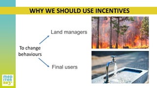 To change
behaviours
Land managers
Final users
WHY WE SHOULD USE INCENTIVES
 