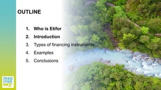 OUTLINE
1. Who is Etifor
2. Introduction
3. Types of financing instruments
4. Examples
5. Conclusions
 