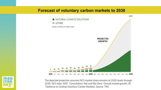 Forecast of voluntary carbon markets to 2030
 