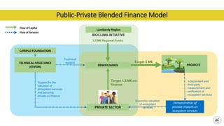 Public-Private Blended Finance Model
BENEFICIARIES
PRIVATE SECTOR
TECHNICAL ASSISTANCE
(ETIFOR)
Independent and
third-part...