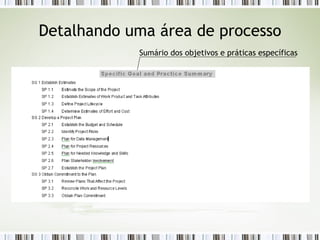 Detalhando uma área de processo Sumário dos objetivos e práticas específicas 