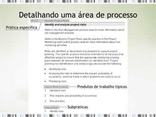 Detalhando uma área de processo Prática específica Produtos de trabalho típicos Subpráticas 