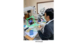 microscope
 