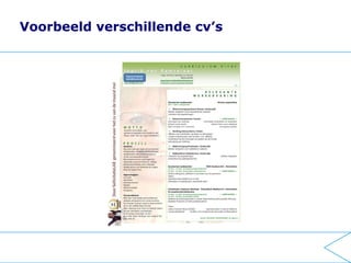 Workshop Cv Voor Werk 3 Daagse
