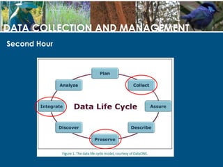 Second Hour
DATA COLLECTION AND MANAGEMENT