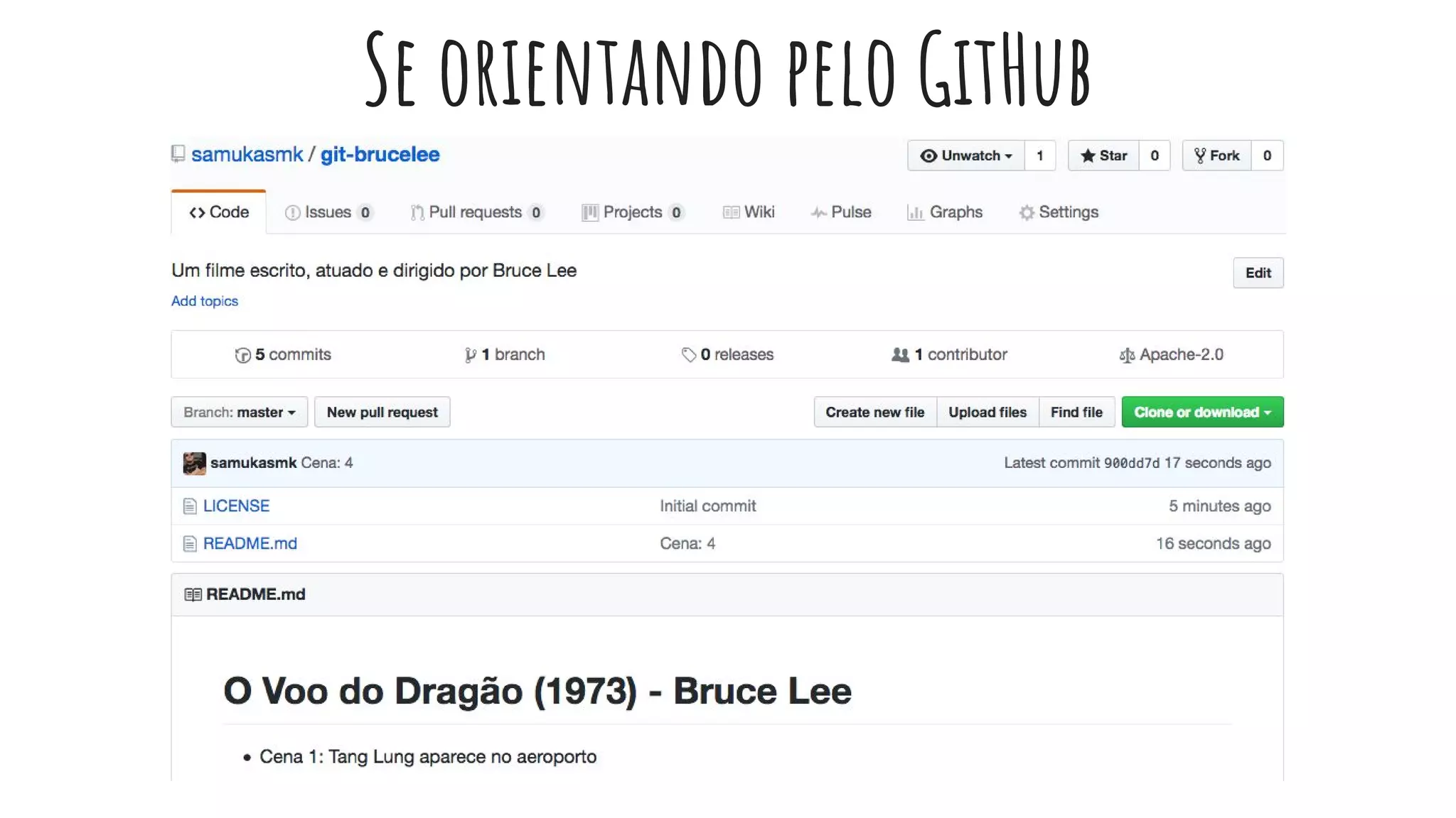 Se orientando pelo GitHub
 