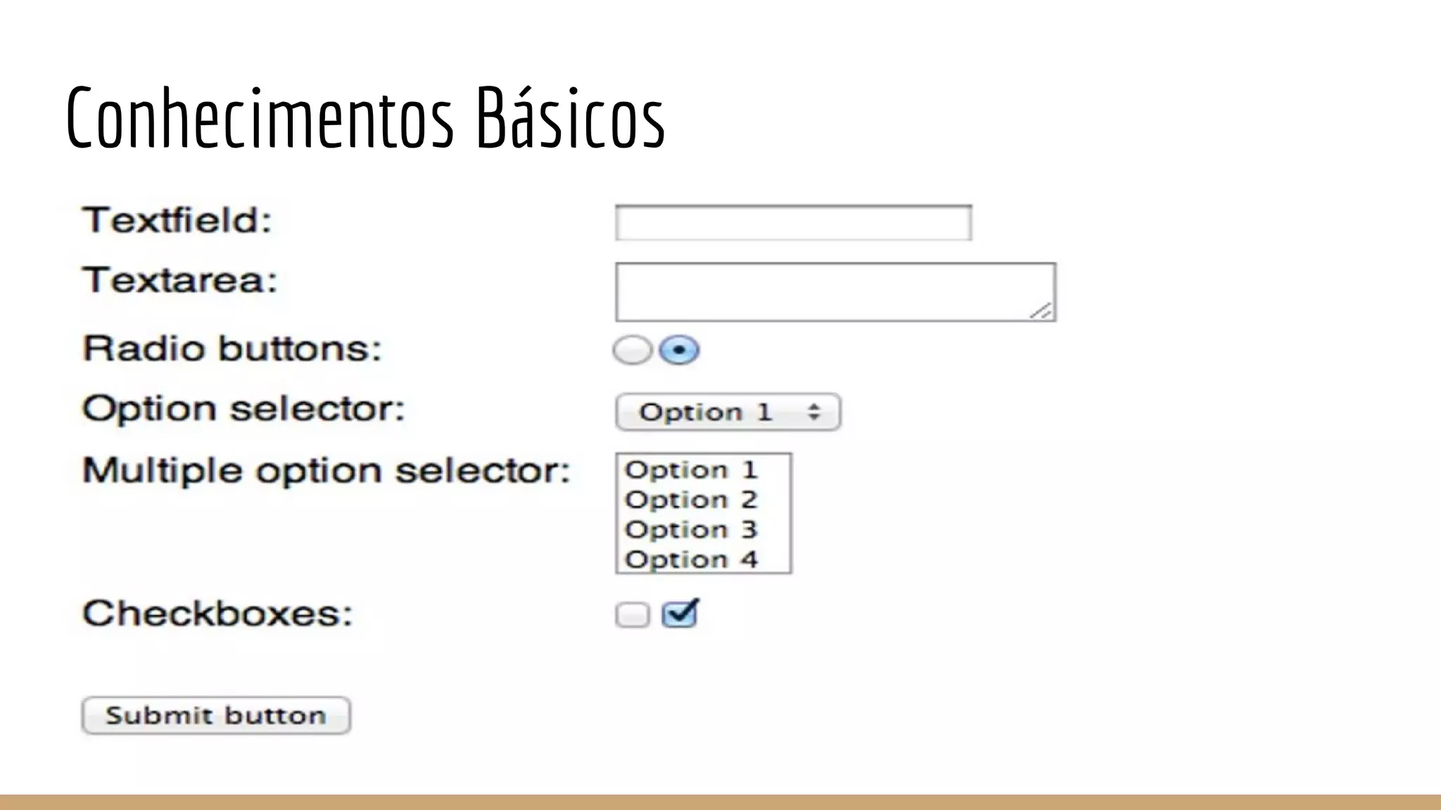Conhecimentos Básicos
 