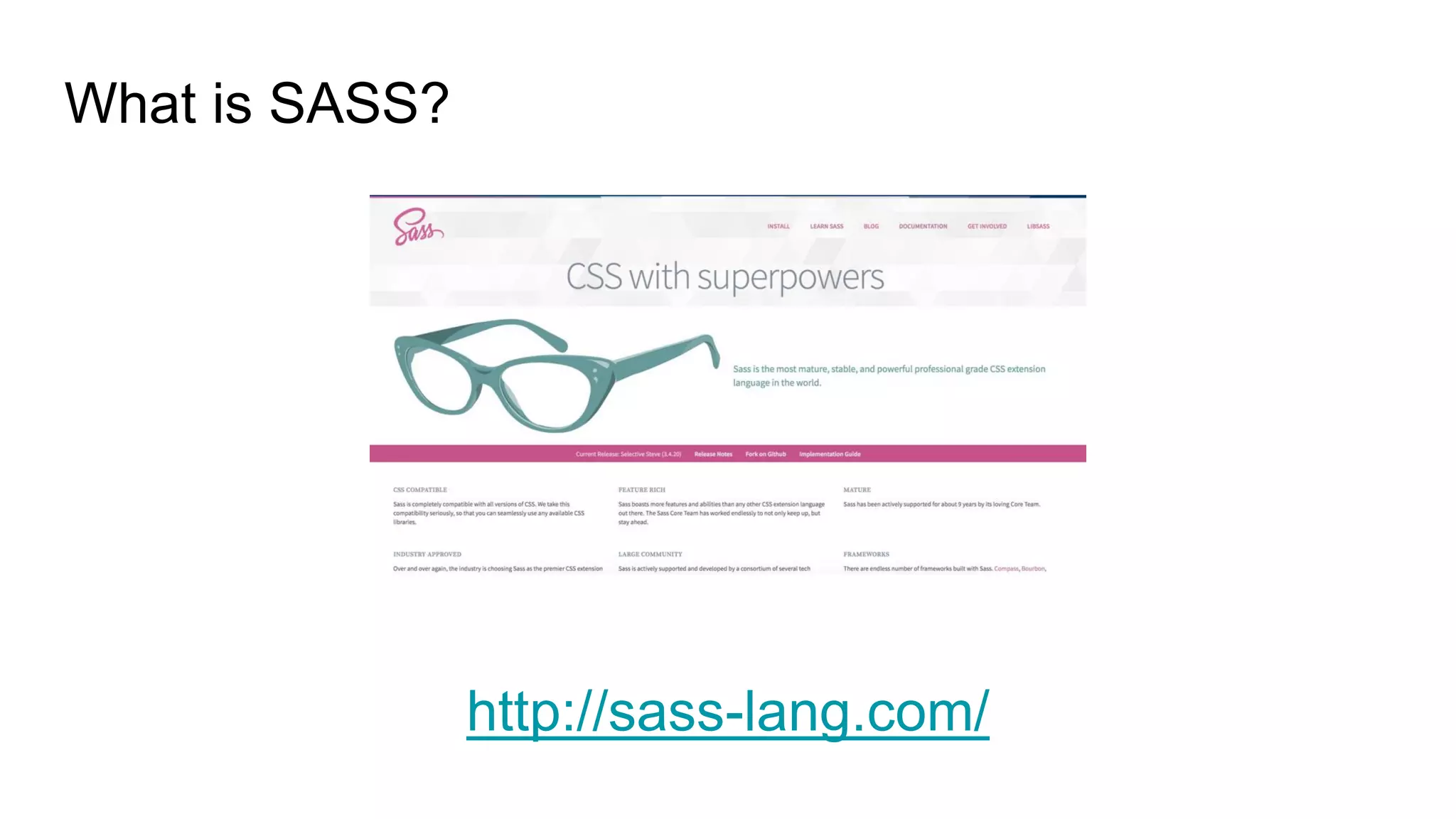 What is SASS?
http://sass-lang.com/
 