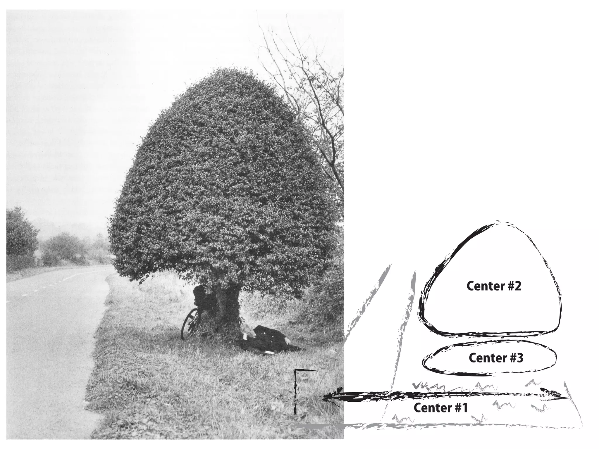 Center #1
Center #2
Center #3
 