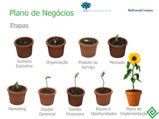 Plano de Negócios Etapas Sumário Executivo Organização Produto ou Serviço Mercado Marketing Equipe Gerencial Gestão Financeira Riscos e  Oportunidades Plano de Implementação 