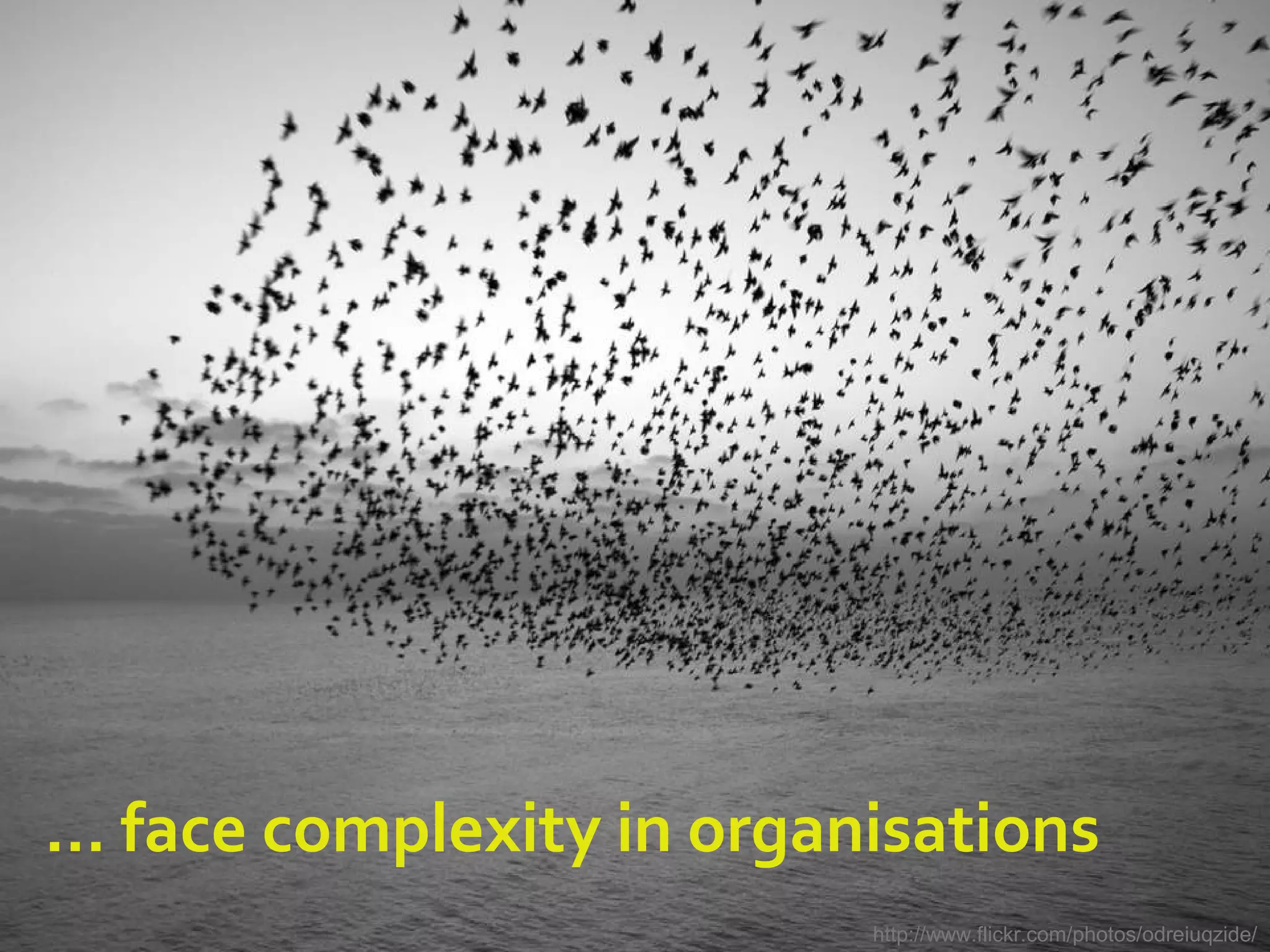 … face complexity in organisations
http://www.flickr.com/photos/odreiuqzide/
 